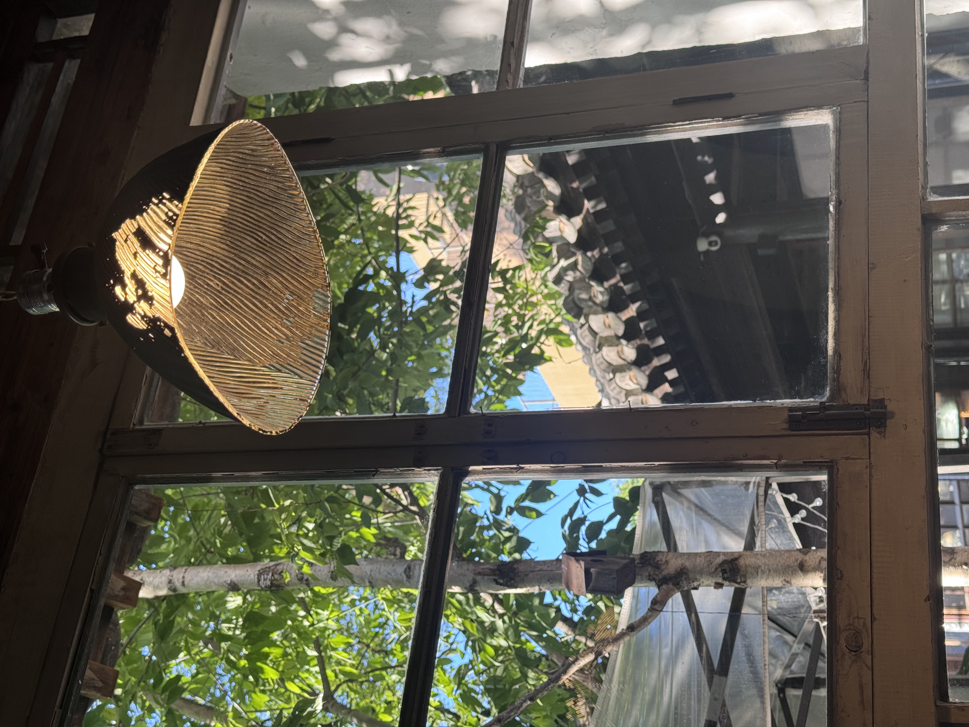 Window and Lamp